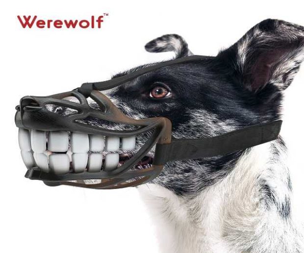 Hunde Maulkorb Werwolf