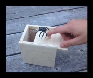 Spinnen Scherzartikel Box